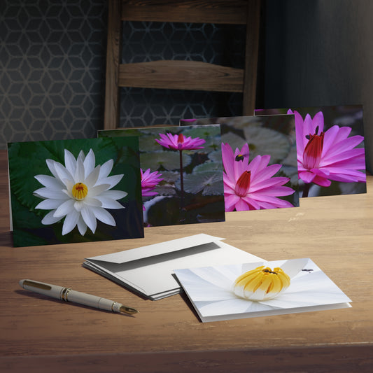 "Assorted Lotus" Greeting Cards - 5-Design Set