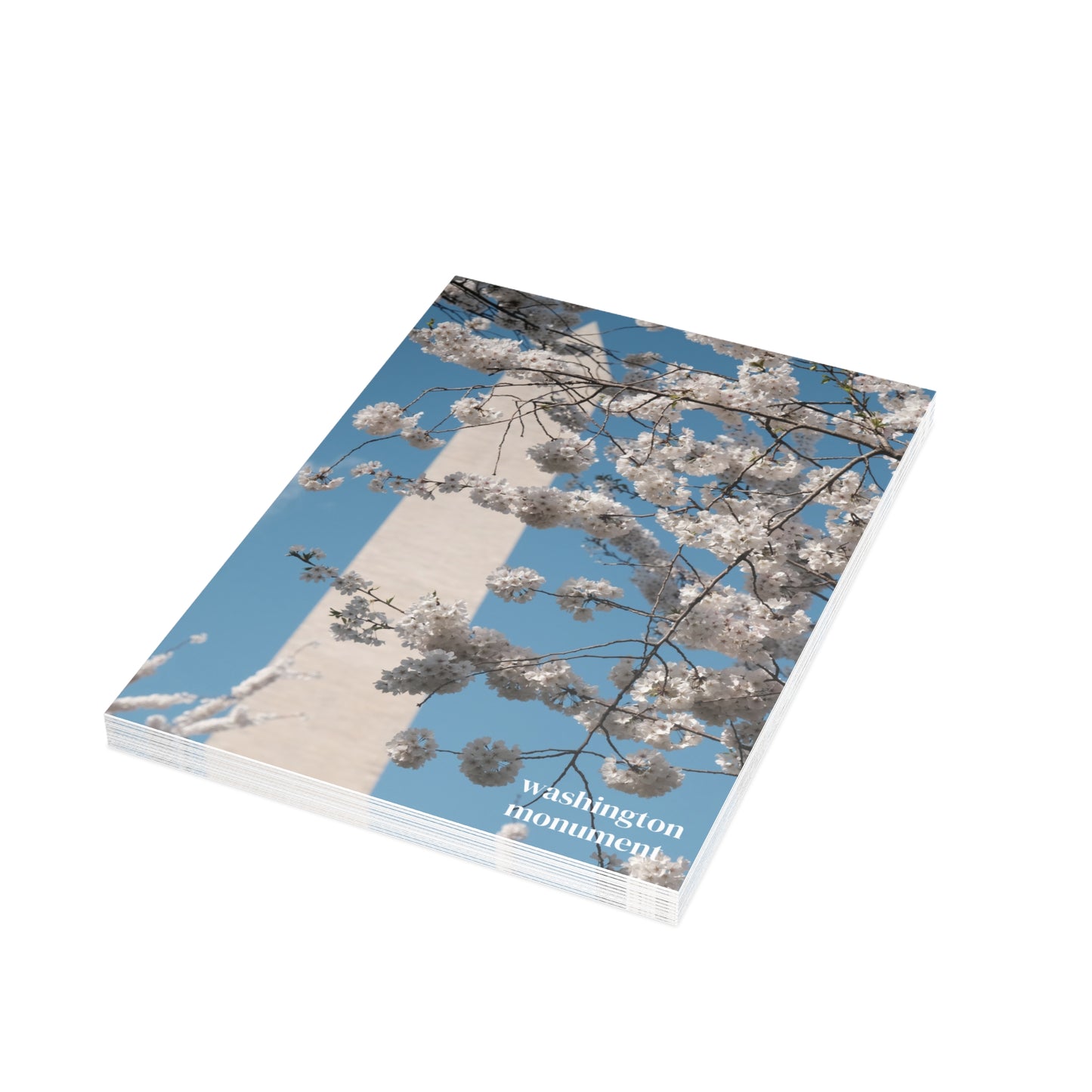 Washington Monument in Cherry Blossom Postcard (with envelopes)