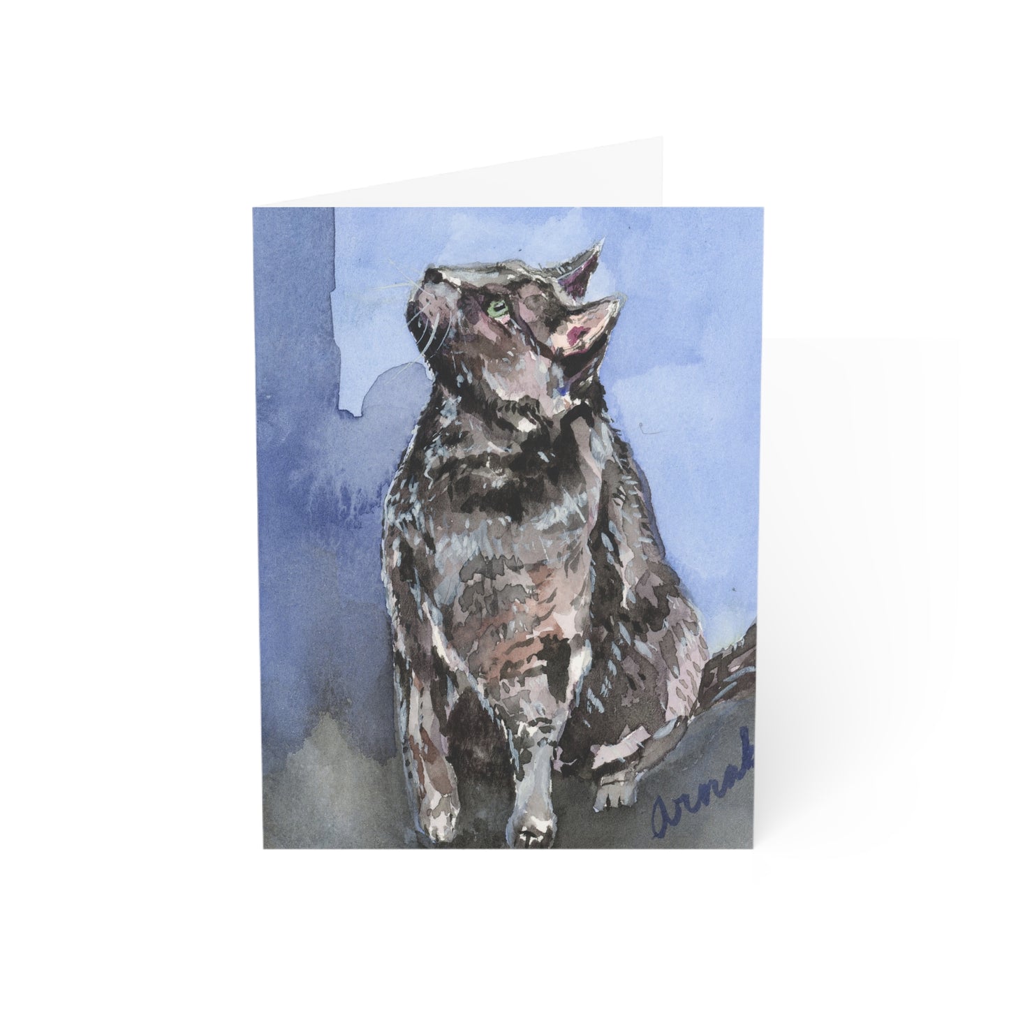My Purry Friend All Occasions Greeting Cards (1, 10, 30, and 50pcs)