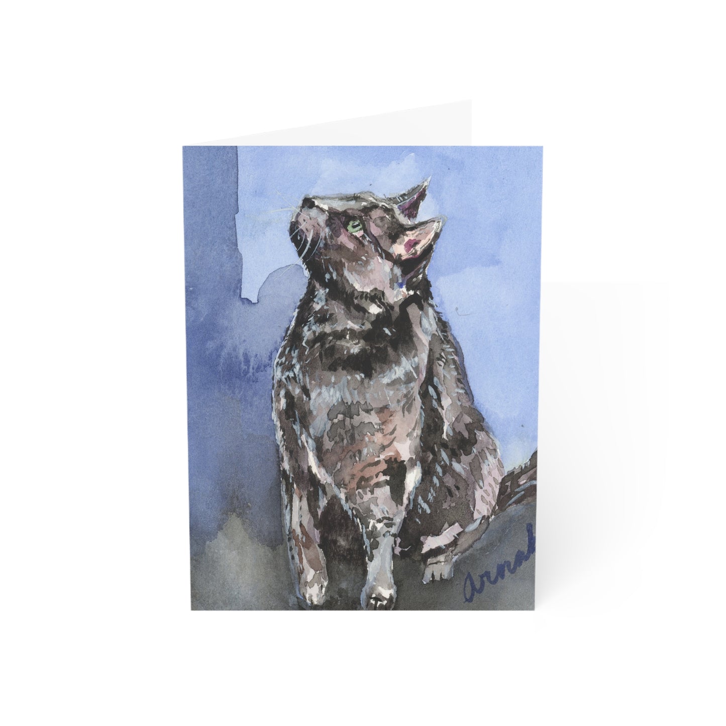 My Purry Friend All Occasions Greeting Cards (1, 10, 30, and 50pcs)