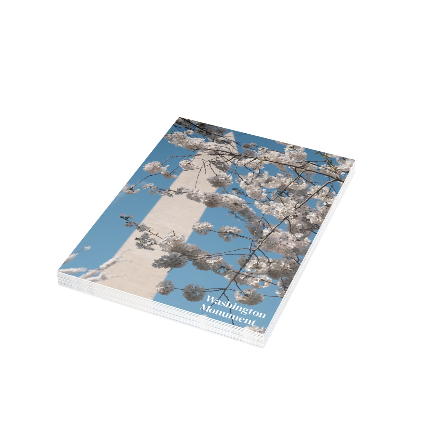 Washington Monument in Cherry Blossom Postcard (with envelopes)