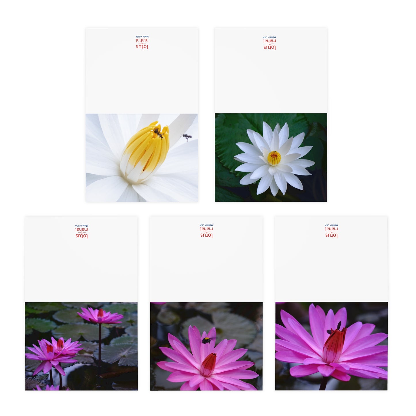 "Assorted Lotus" Greeting Cards - 5-Design Set