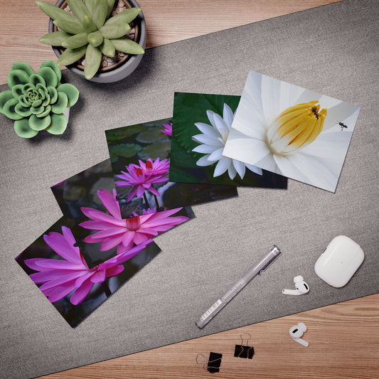 "Assorted Lotus" Greeting Cards - 5-Design Set