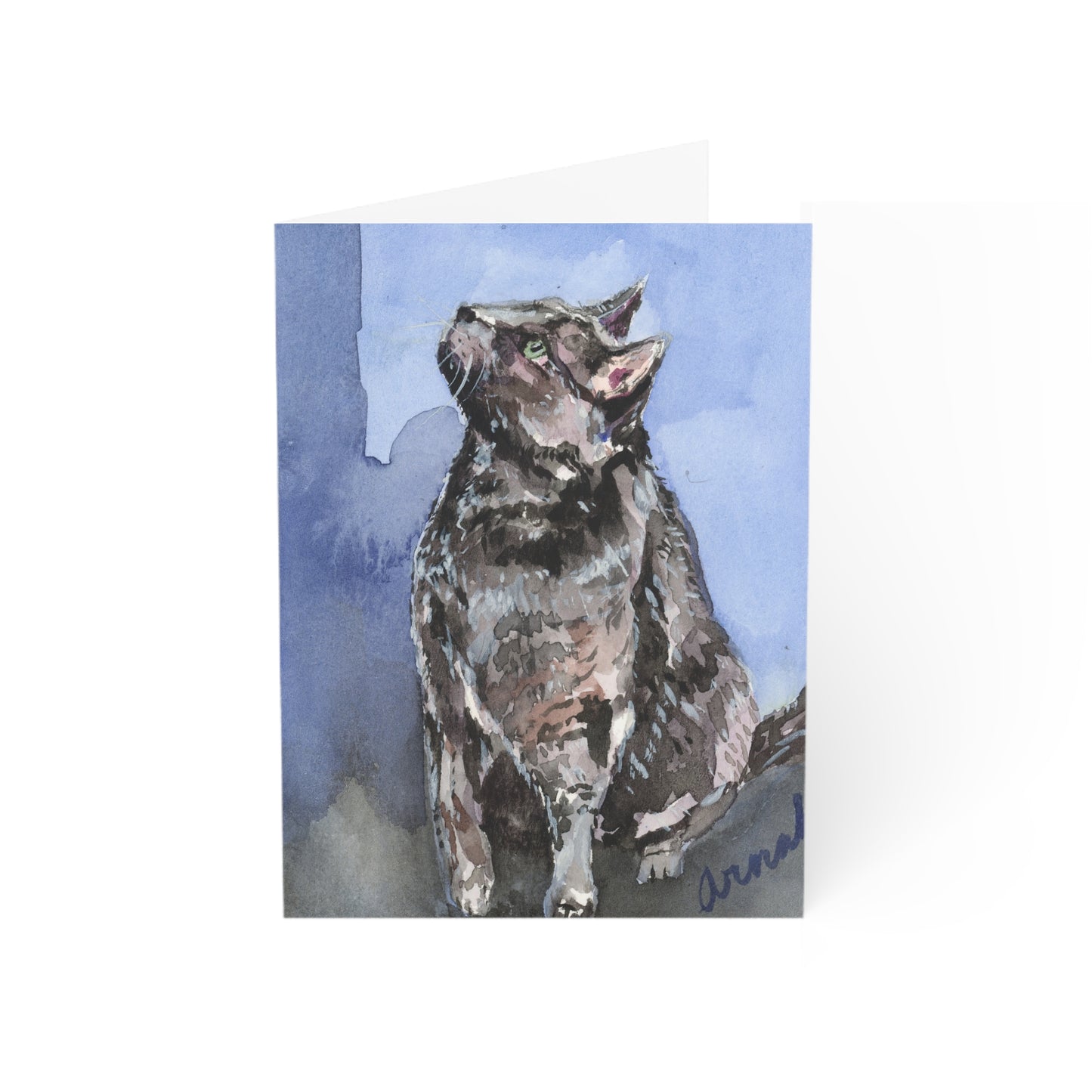 My Purry Friend All Occasions Greeting Cards (1, 10, 30, and 50pcs)