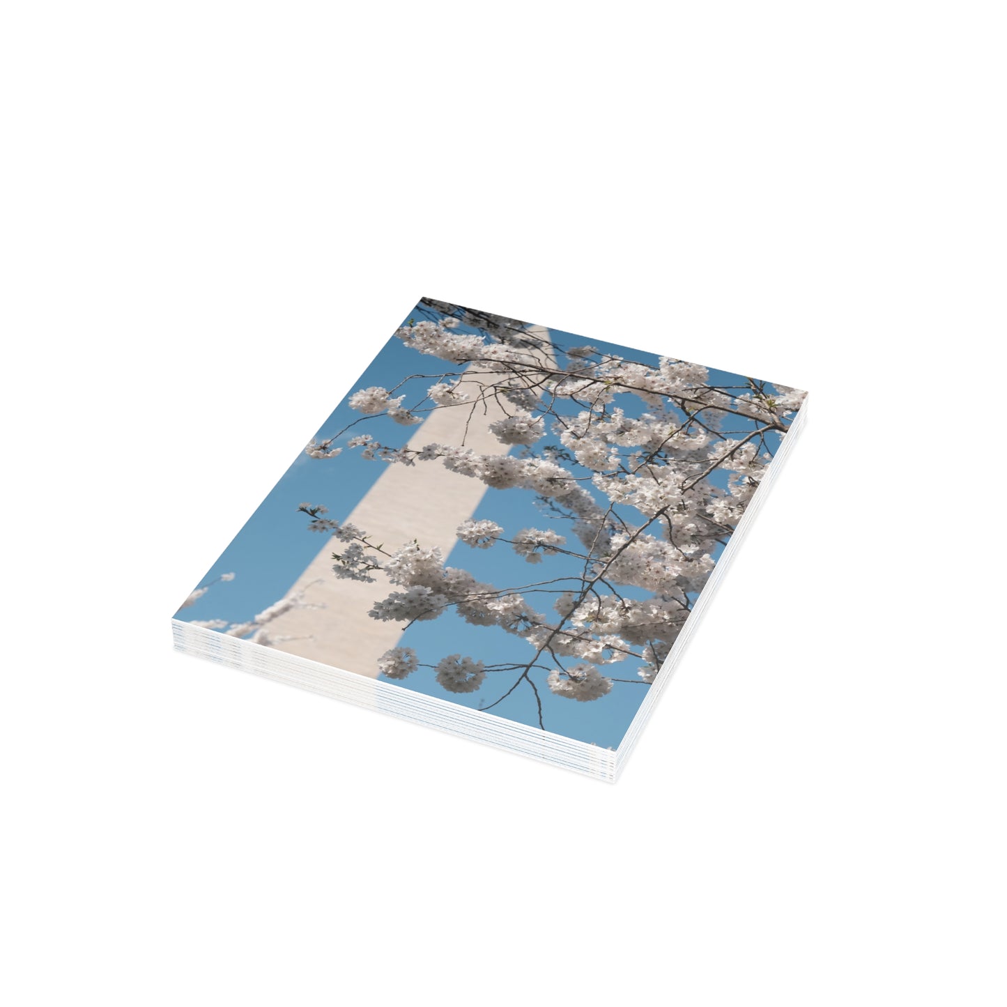 Washington Monument in Cherry Blossom Postcard (with envelopes)