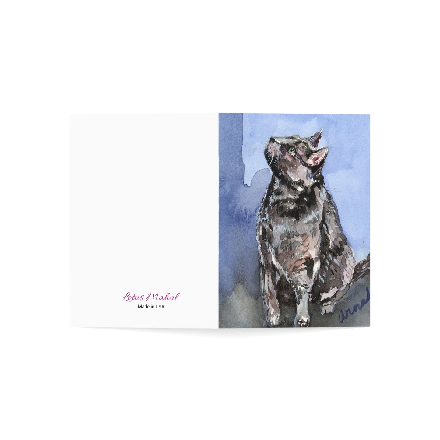 My Purry Friend All Occasions Greeting Cards (1, 10, 30, and 50pcs)