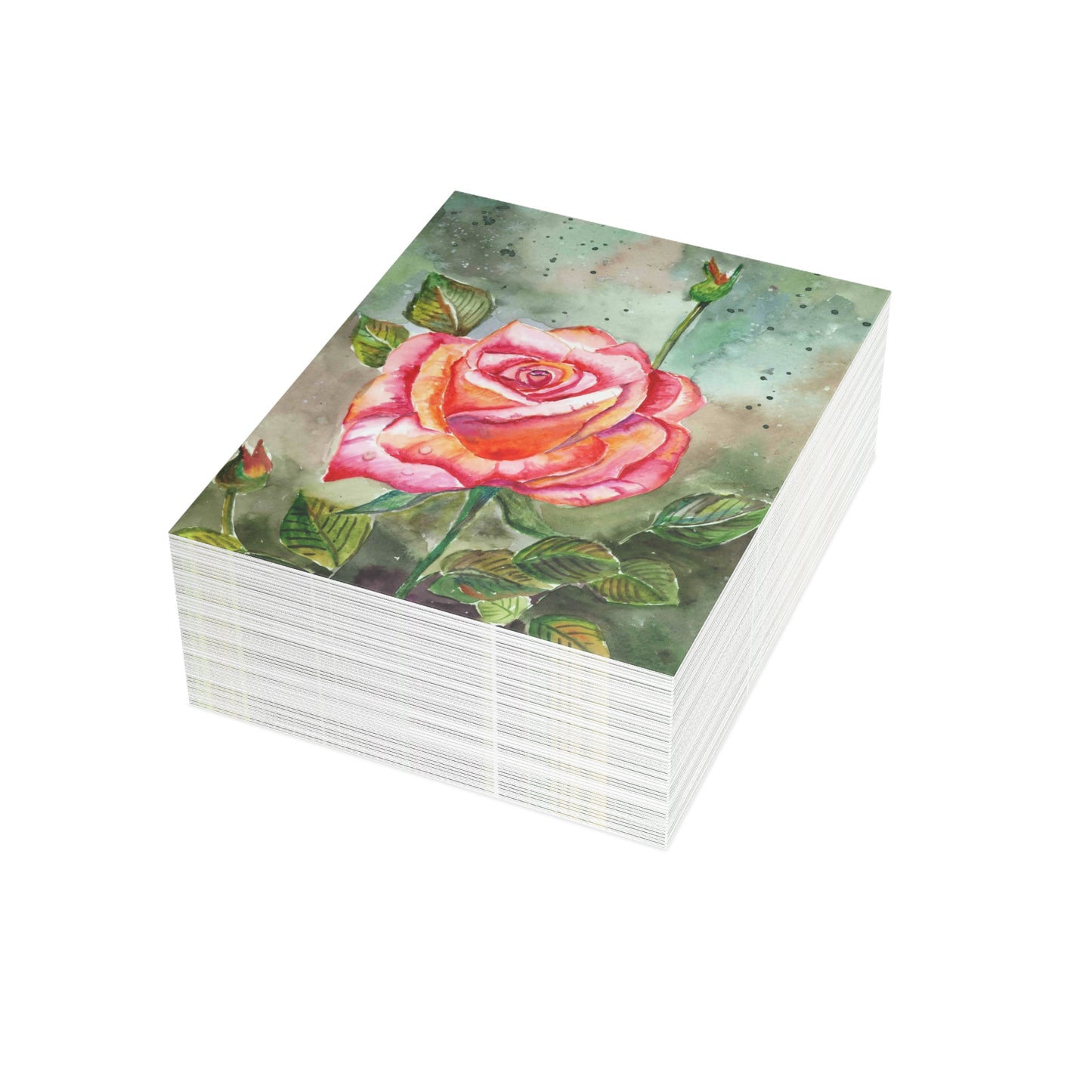 Fragrant Garden Rose Postcard