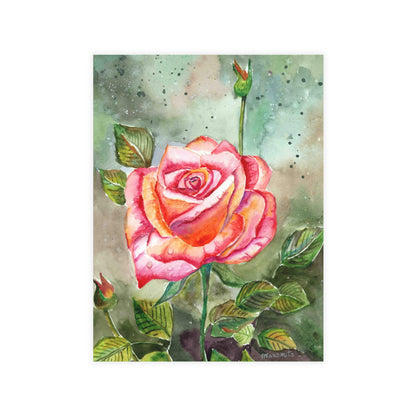 Fragrant Garden Rose Postcard