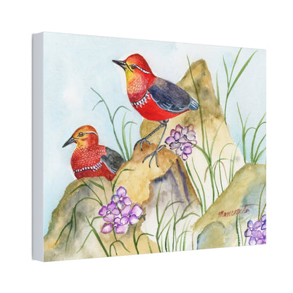 Two Tiny Tweets Watercolor Print Stretched Canvas