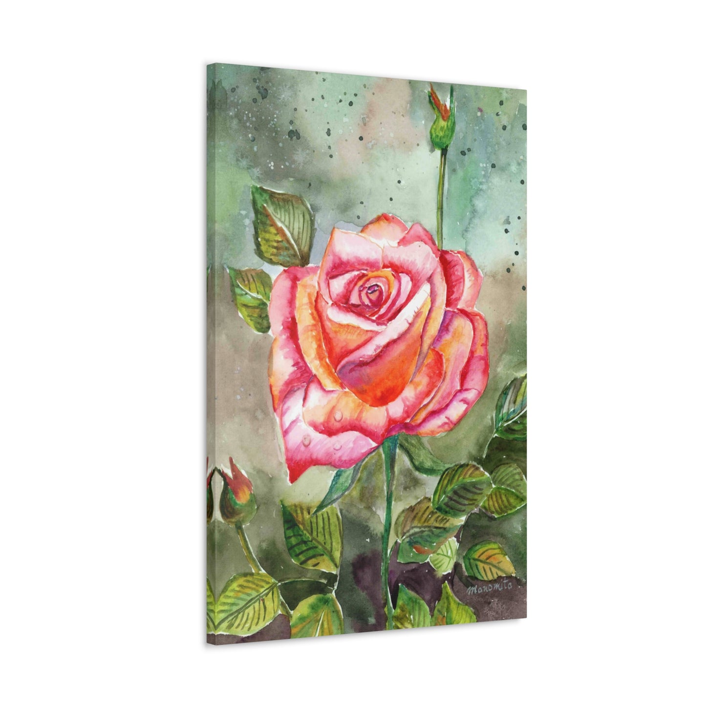 Watercolor Rose Canvas Gallery Wraps