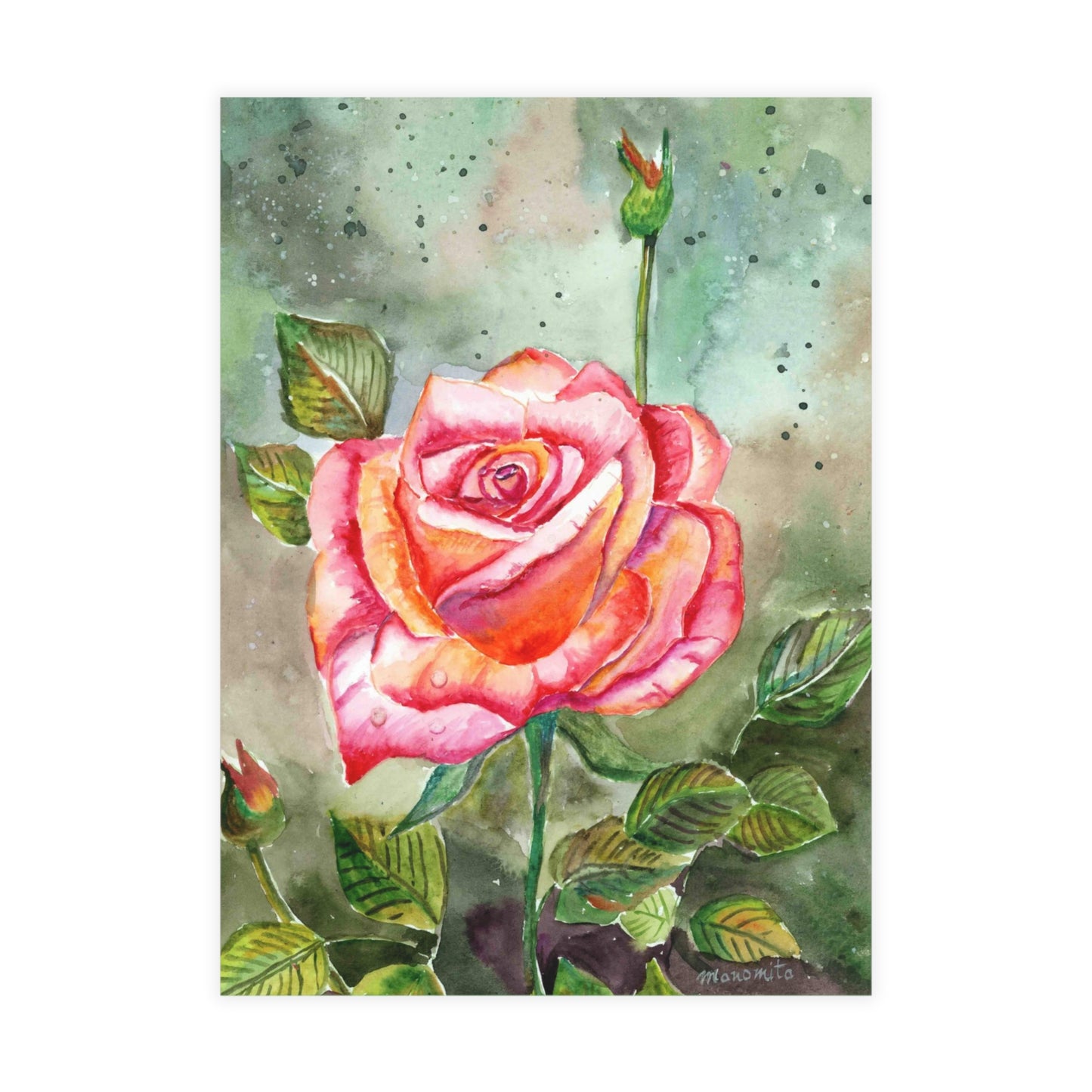 Fragrant Garden Rose Postcard