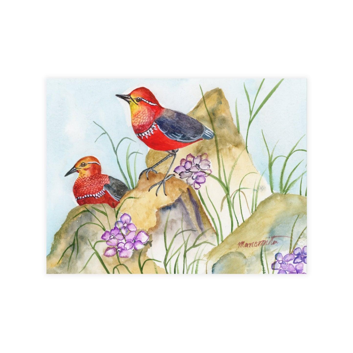 Two Tiny Tweets Watercolor Print Postcard