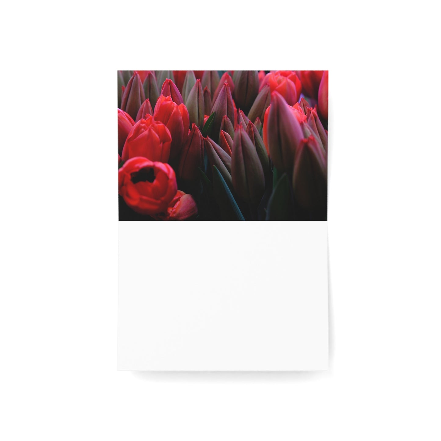 Best Mom Ever Greeting Cards