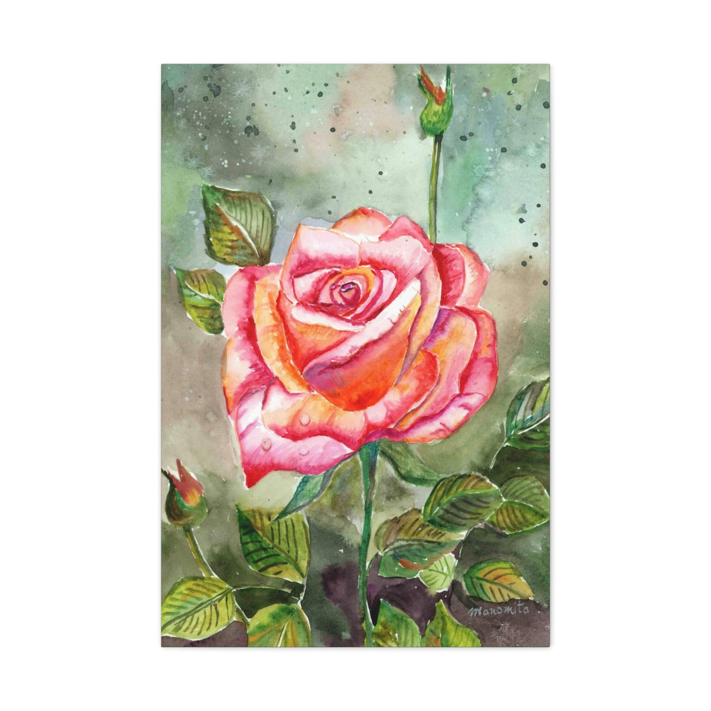 Watercolor Rose Canvas Gallery Wraps