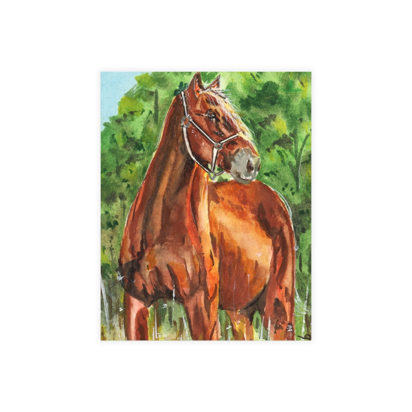 Majestic Mustang Watercolor Print Postcard