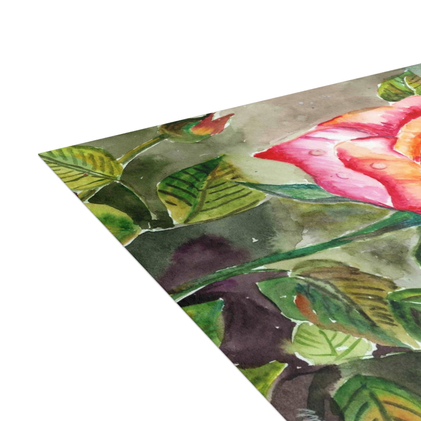 Fragrant Garden Rose Postcard