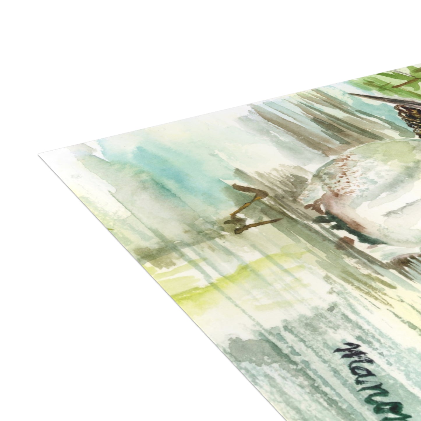 Feathered Friends Watercolor Print Postcard