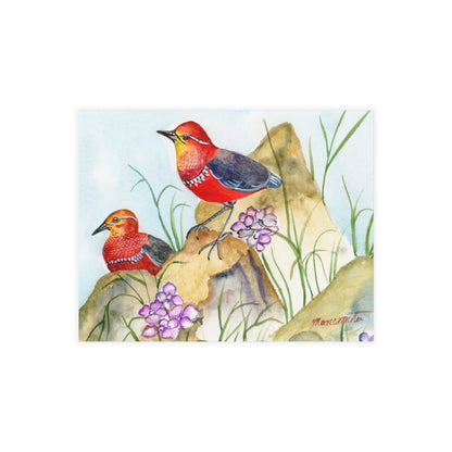 Two Tiny Tweets Watercolor Print Postcard