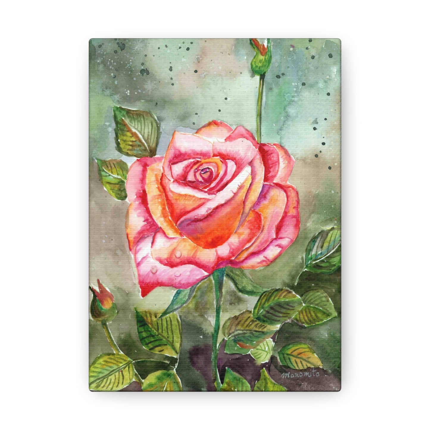 Watercolor Rose Canvas Gallery Wraps