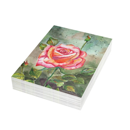 Fragrant Garden Rose Postcard