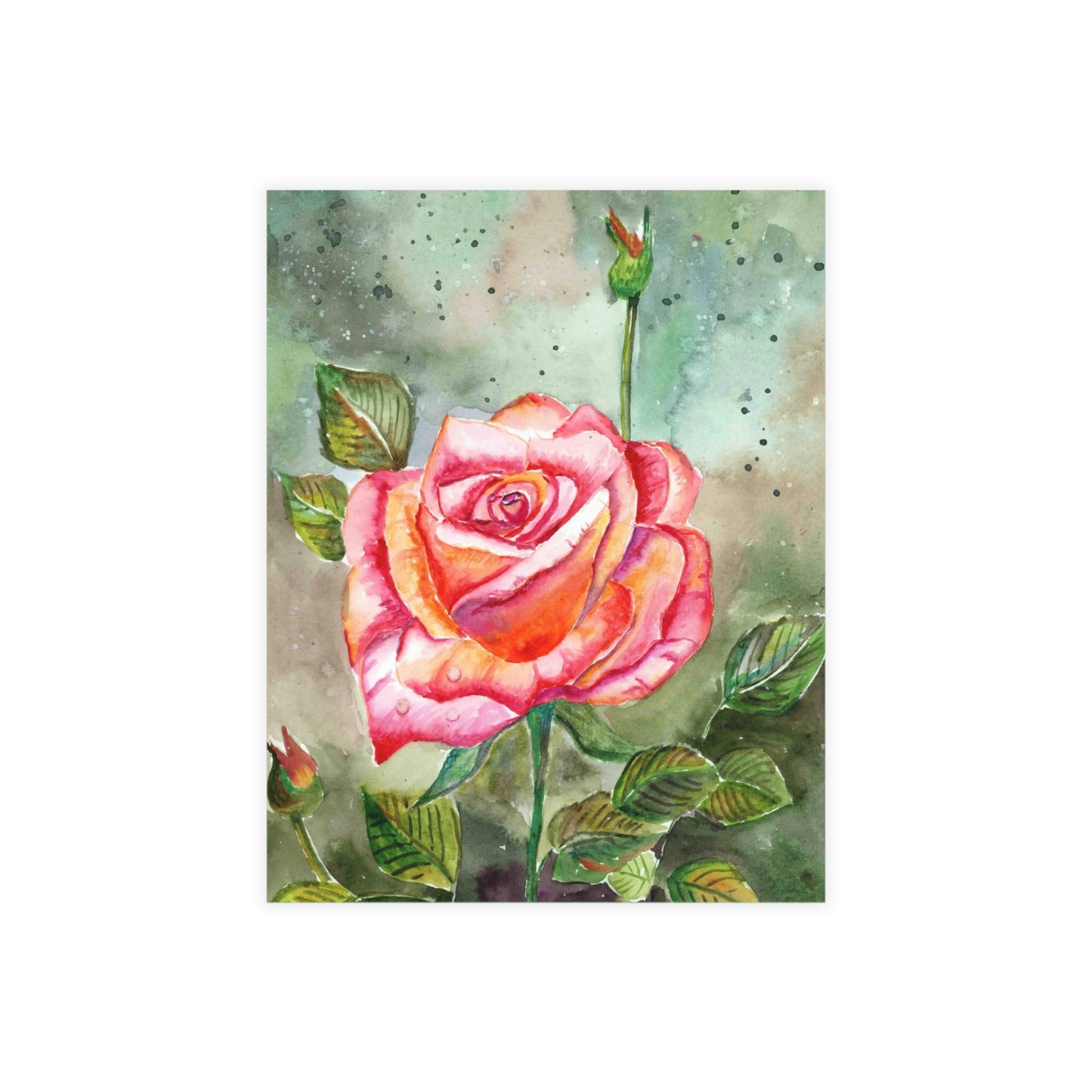 Fragrant Garden Rose Postcard