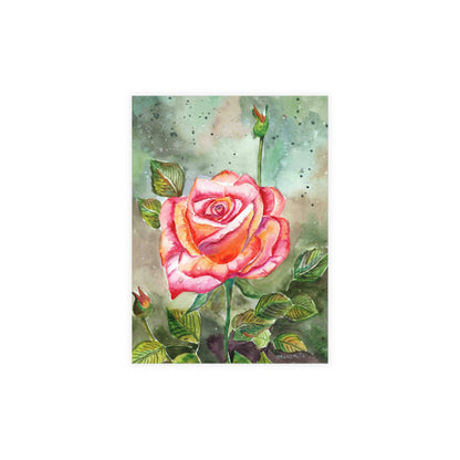 Fragrant Garden Rose Postcard