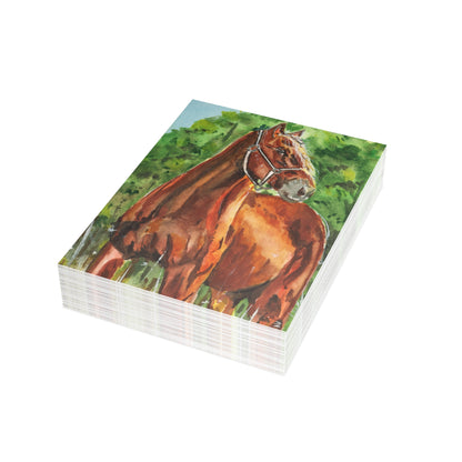 Majestic Mustang Watercolor Print Postcard