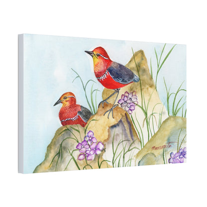 Two Tiny Tweets Watercolor Print Stretched Canvas