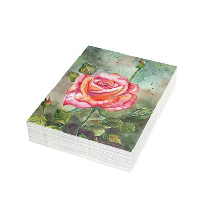 Fragrant Garden Rose Postcard