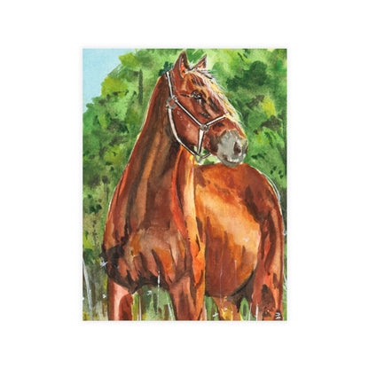 Majestic Mustang Watercolor Print Postcard