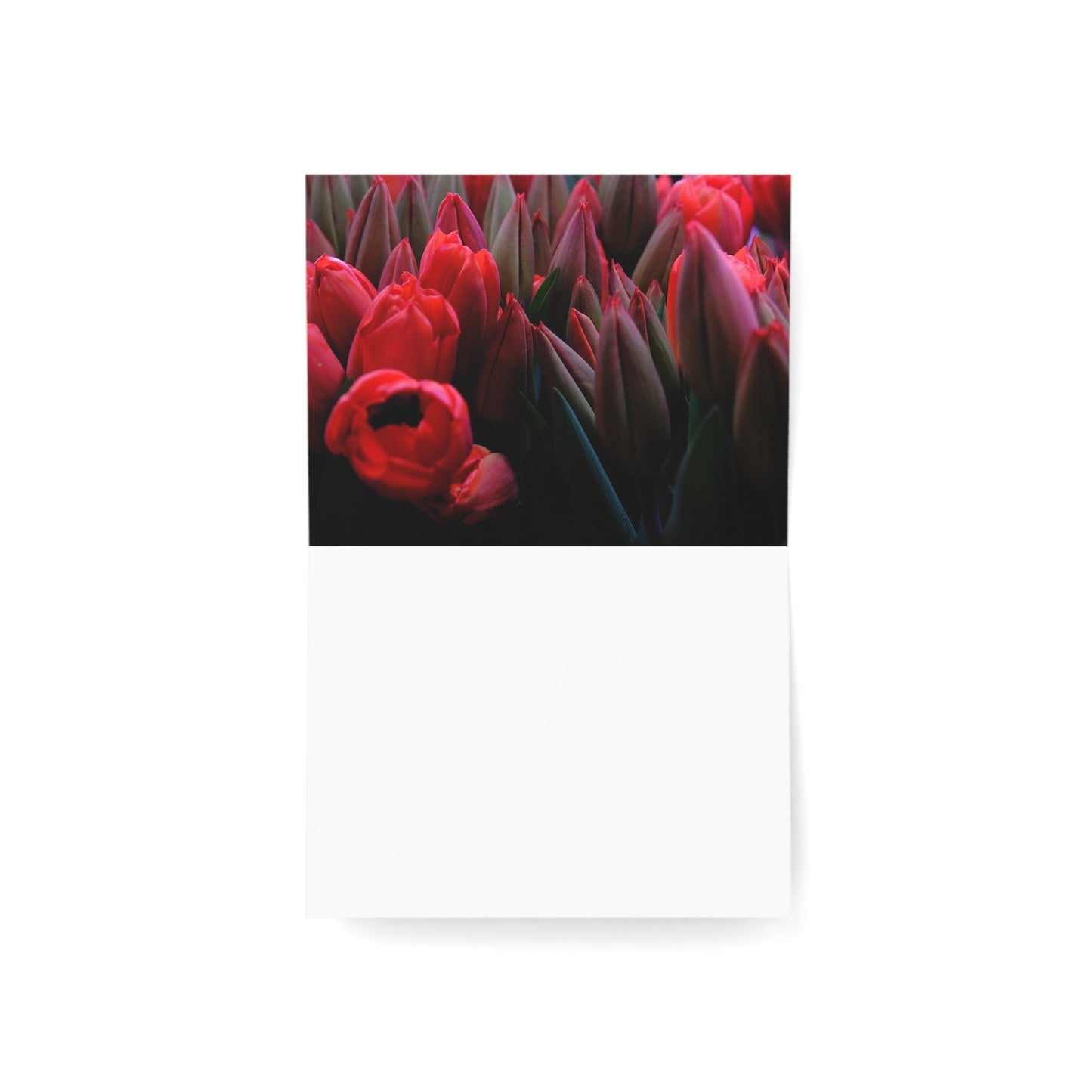 Best Mom Ever Greeting Cards