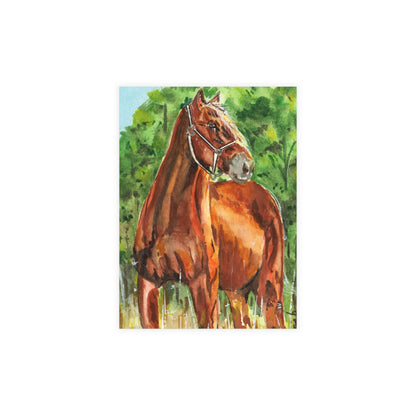 Majestic Mustang Watercolor Print Postcard