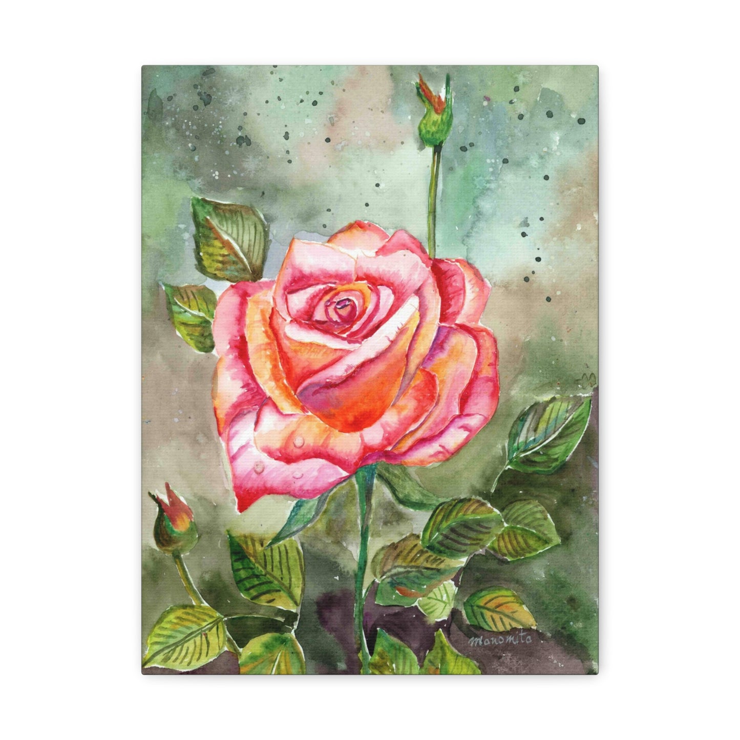 Watercolor Rose Canvas Gallery Wraps