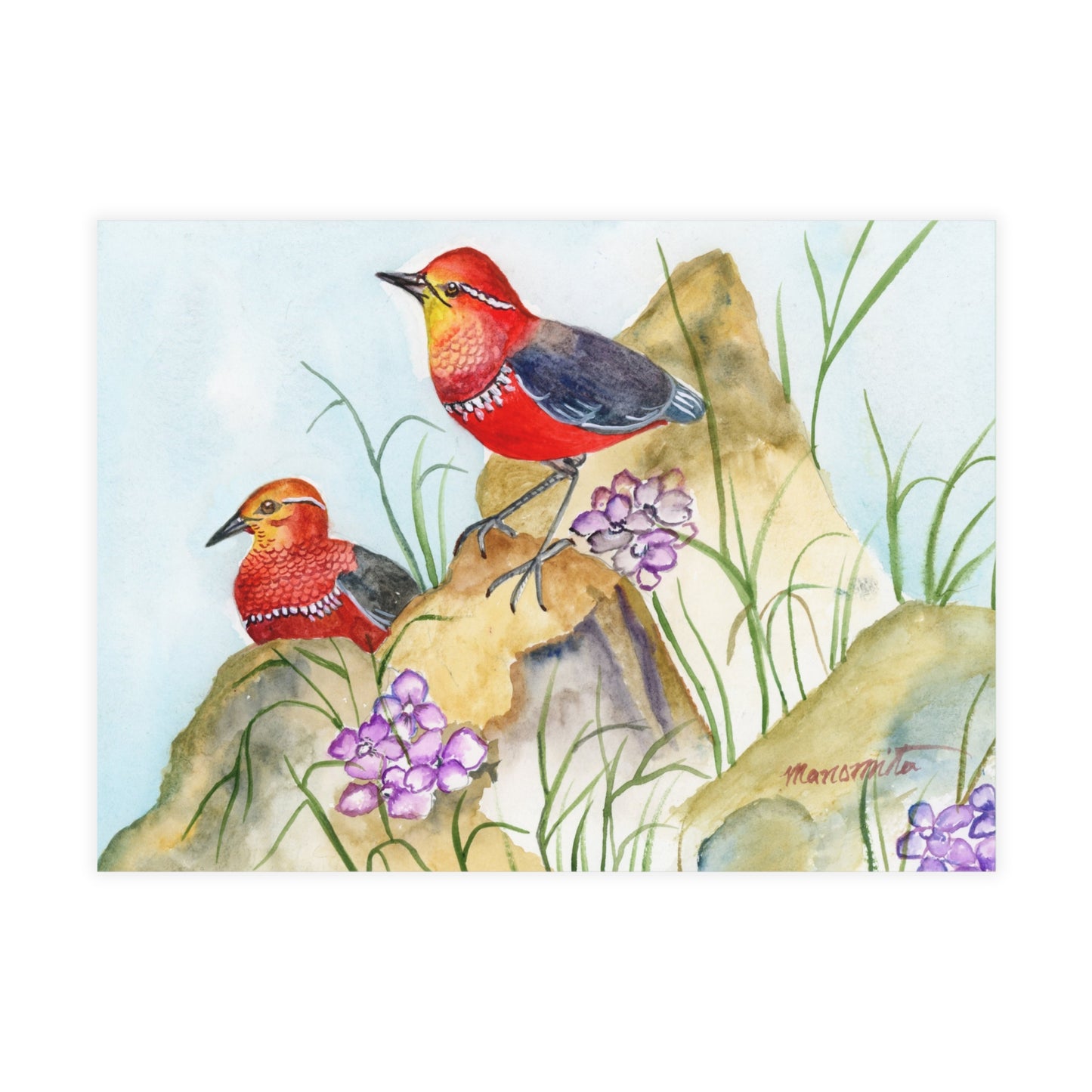 Two Tiny Tweets Watercolor Print Postcard