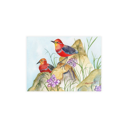 Two Tiny Tweets Watercolor Print Postcard